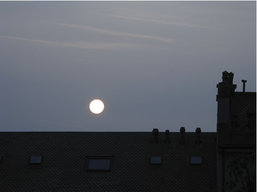 blog