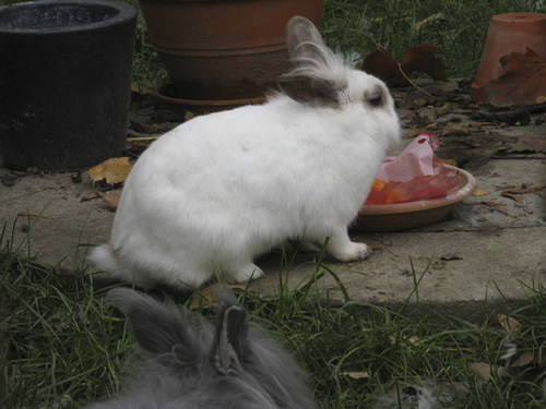 blog