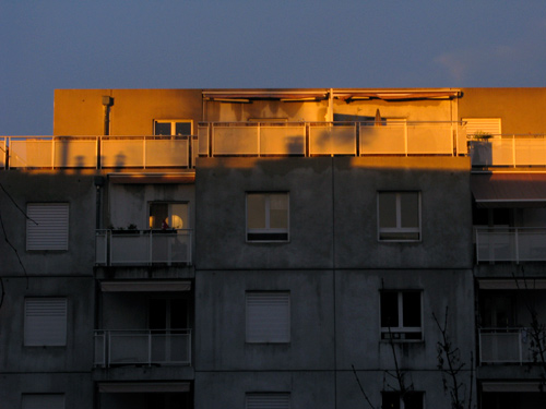 blog