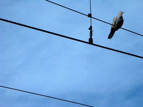 blog