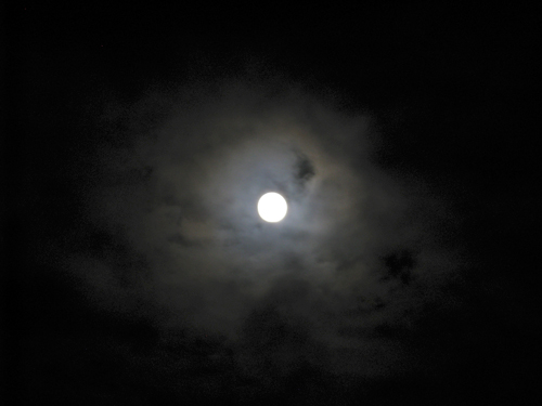 blog