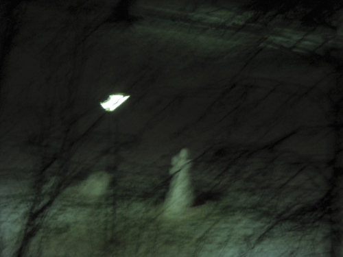 blog