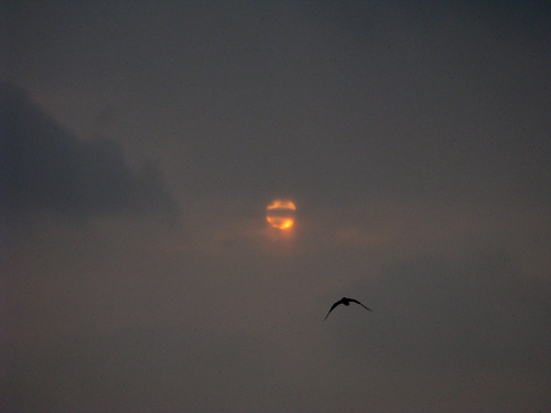 blog