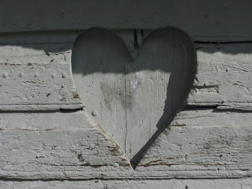 blog