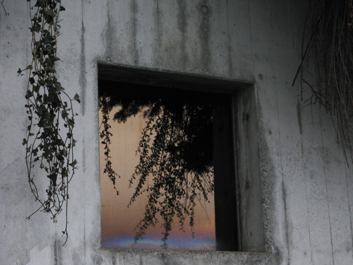 blog