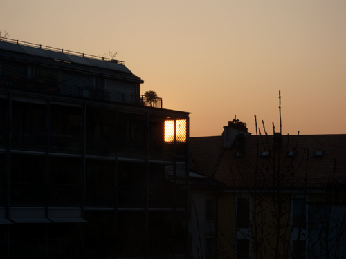 blog