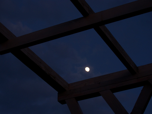 blog