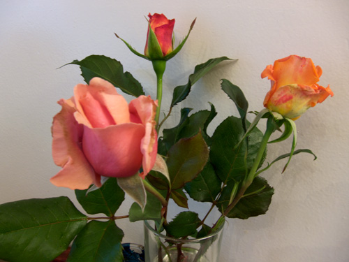 blog