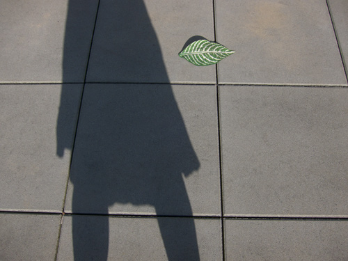 blog