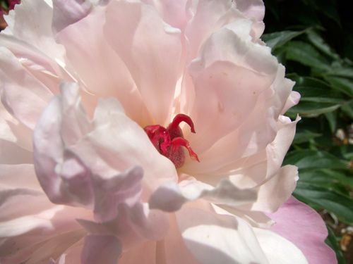 blog