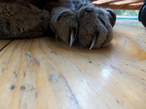 blog