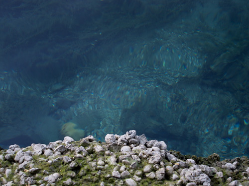 blog