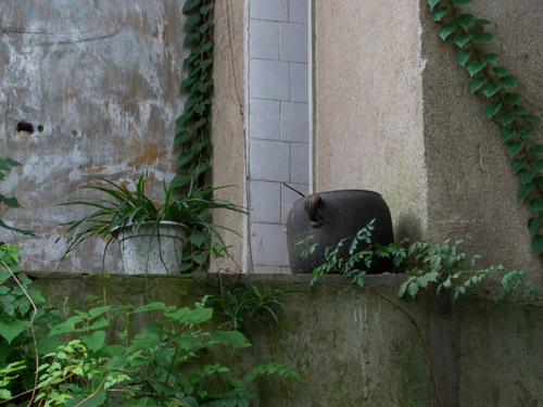 blog