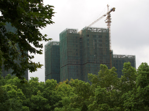 blog