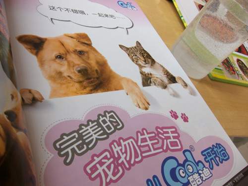 blog