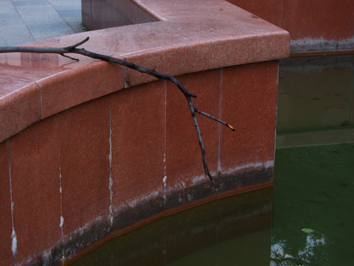 blog