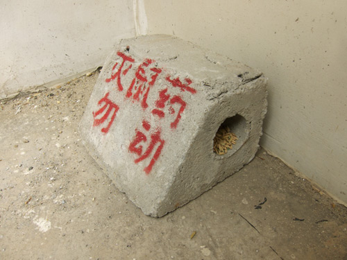 blog