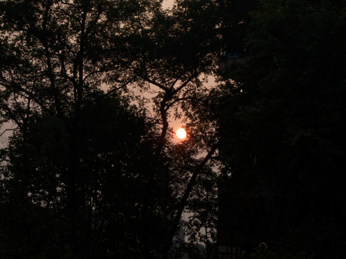 blog