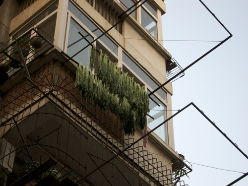 blog