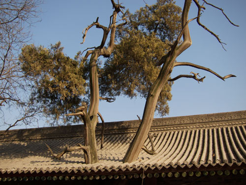 blog