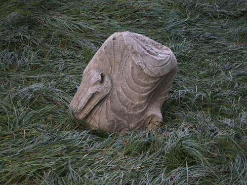 blog