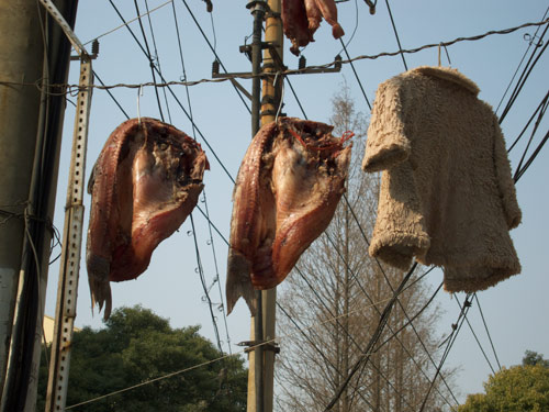 blog