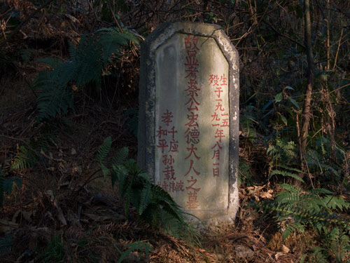 blog