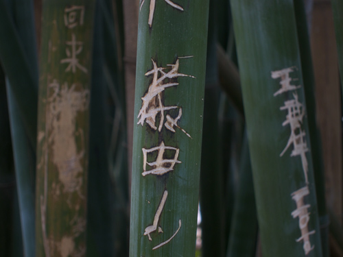blog