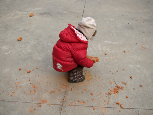blog