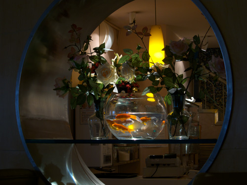blog