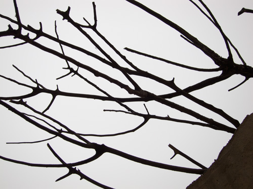 blog