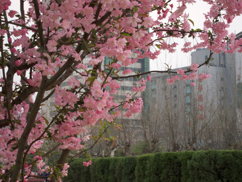blog