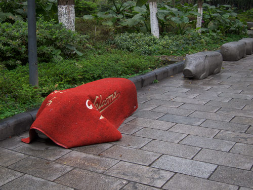 blog