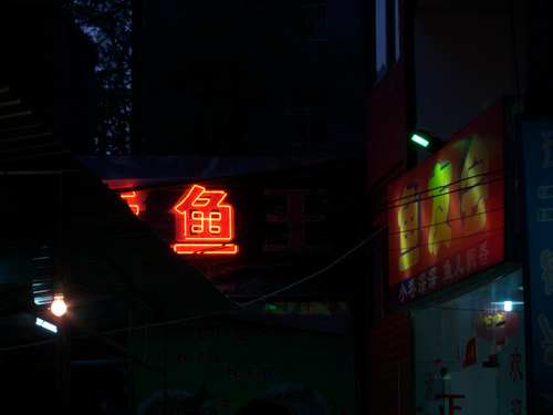 blog