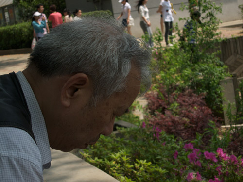 blog