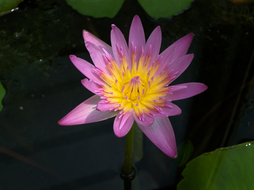blog