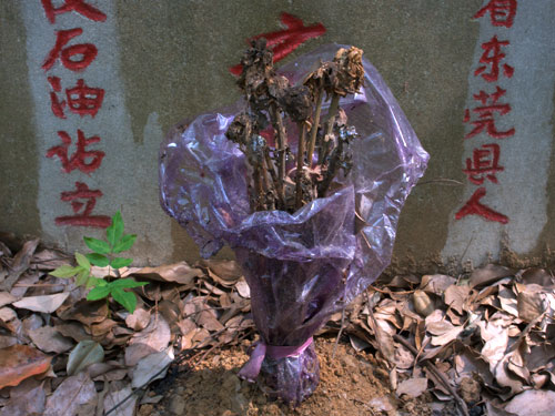 blog