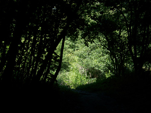 blog