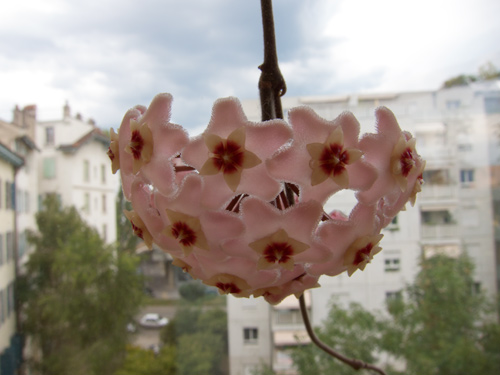 blog