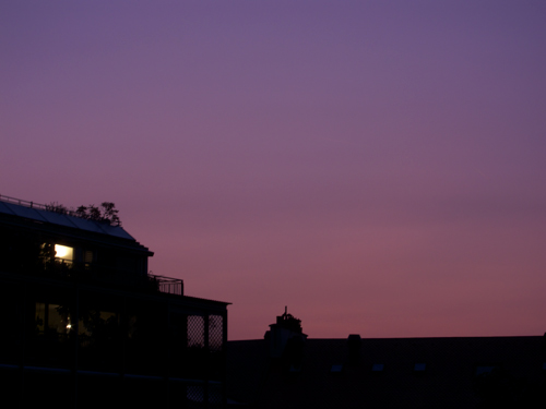blog