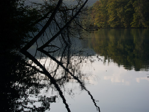 blog