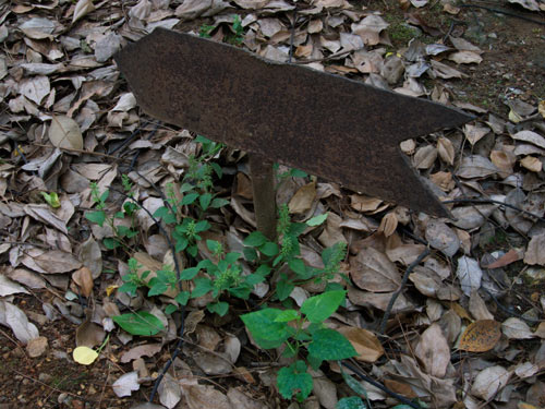 blog