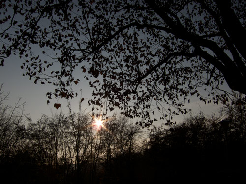 blog