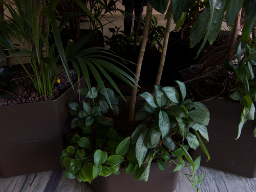 blog