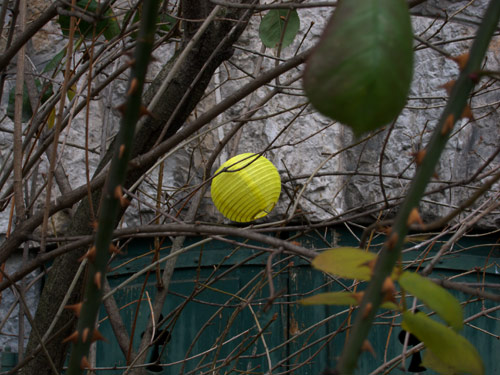 blog