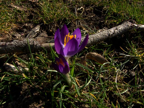 blog