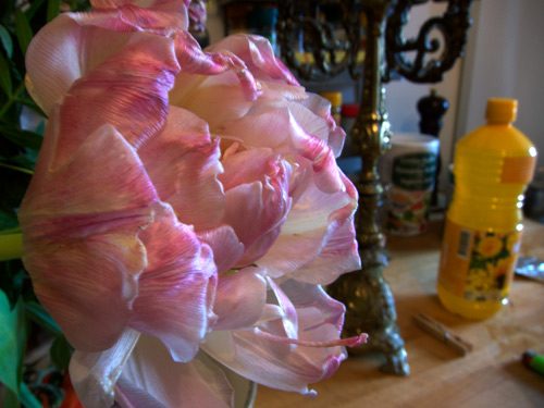 blog