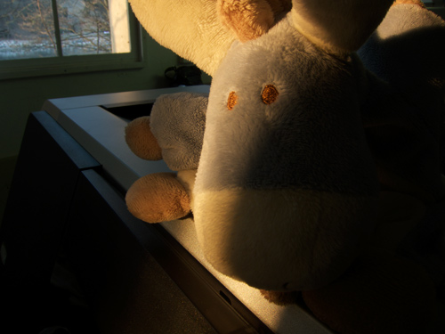 blog