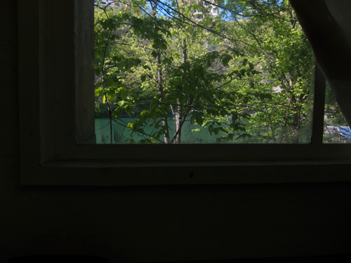 blog