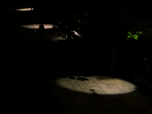 blog